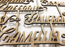 Laser cut wooden letters